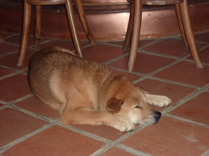 1615